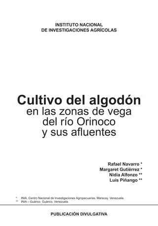 Cosecha manual del algodón en las vegas del orinoco.