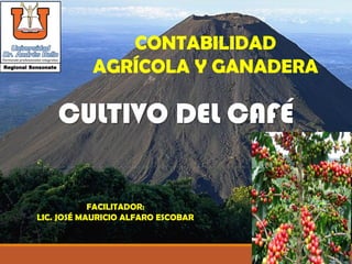 CULTIVO DEL CAFÉ
FACILITADOR:
LIC. JOSÉ MAURICIO ALFARO ESCOBAR
Regional Sonsonate
CONTABILIDAD
AGRÍCOLA Y GANADERA
 
