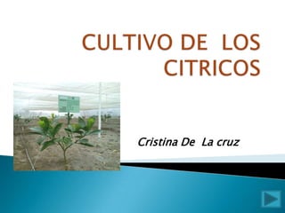 Cristina De La cruz
 