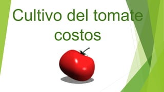 Cultivo del tomate
costos
 