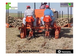 PLANTADORA
 