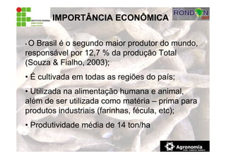 IMPORTÂNCIA ECONÔMICA
• O Brasil é o segundo maior produtor do mundo,
responsável por 12,7 % da produção Total
(Souza & Fialho, 2003);
• É cultivada em todas as regiões do país;
• Utilizada na alimentação humana e animal,
além de ser utilizada como matéria – prima para
produtos industriais (farinhas, fécula, etc);
• Produtividade média de 14 ton/ha
 