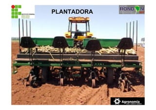 PLANTADORA
 
