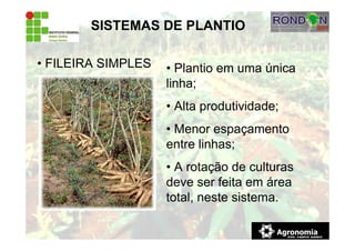 SISTEMAS DE PLANTIO
• FILEIRA SIMPLES • Plantio em uma única
linha;
• Alta produtividade;
• Menor espaçamento
entre linhas;
• A rotação de culturas
deve ser feita em área
total, neste sistema.
 