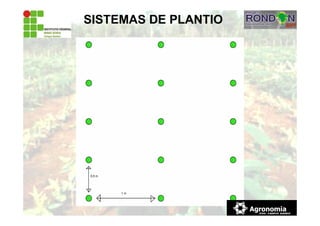 SISTEMAS DE PLANTIO
 