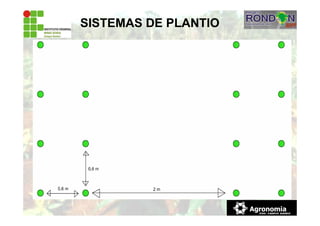 SISTEMAS DE PLANTIO
 