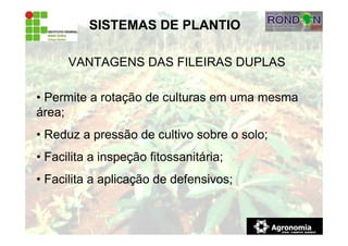 • Permite a rotação de culturas em uma mesma
área;
• Reduz a pressão de cultivo sobre o solo;
• Facilita a inspeção fitossanitária;
• Facilita a aplicação de defensivos;
SISTEMAS DE PLANTIO
VANTAGENS DAS FILEIRAS DUPLAS
 