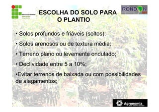 ESCOLHA DO SOLO PARA
O PLANTIO
• Solos profundos e friáveis (soltos);
• Solos arenosos ou de textura média;
• Terreno plano ou levemente ondulado;
• Declividade entre 5 a 10%;
•Evitar terrenos de baixada ou com possibilidades
de alagamentos;
 