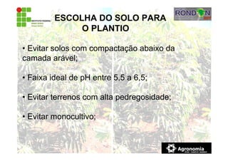 • Evitar solos com compactação abaixo da
camada arável;
• Faixa ideal de pH entre 5,5 a 6,5;
• Evitar terrenos com alta pedregosidade;
• Evitar monocultivo;
ESCOLHA DO SOLO PARA
O PLANTIO
 