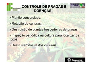 • Plantio consorciado;
• Rotação de culturas;
• Destruição de plantas hospedeiras de pragas;
• Inspeção periódica na cultura para localizar os
focos;
• Destruição dos restos culturais;
CONTROLE DE PRAGAS E
DOENÇAS
 