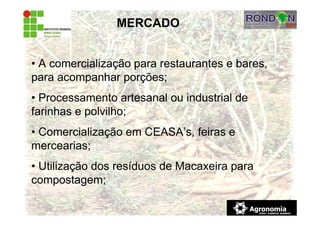 MERCADO
• A comercialização para restaurantes e bares,
para acompanhar porções;
• Processamento artesanal ou industrial de
farinhas e polvilho;
• Comercialização em CEASA’s, feiras e
mercearias;
• Utilização dos resíduos de Macaxeira para
compostagem;
 