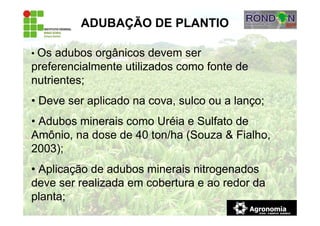 ADUBAÇÃO DE PLANTIO
• Os adubos orgânicos devem ser
preferencialmente utilizados como fonte de
nutrientes;
• Deve ser aplicado na cova, sulco ou a lanço;
• Adubos minerais como Uréia e Sulfato de
Amônio, na dose de 40 ton/ha (Souza & Fialho,
2003);
• Aplicação de adubos minerais nitrogenados
deve ser realizada em cobertura e ao redor da
planta;
 