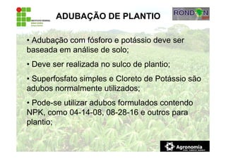 ADUBAÇÃO DE PLANTIO
• Adubação com fósforo e potássio deve ser
baseada em análise de solo;
• Deve ser realizada no sulco de plantio;
• Superfosfato simples e Cloreto de Potássio são
adubos normalmente utilizados;
• Pode-se utilizar adubos formulados contendo
NPK, como 04-14-08, 08-28-16 e outros para
plantio;
 
