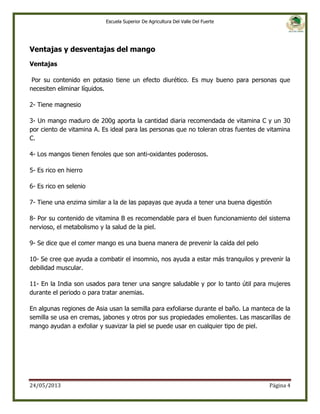 Escuela Superior De Agricultura Del Valle Del Fuerte

Ventajas y desventajas del mango
Ventajas
Por su contenido en potasio tiene un efecto diurético. Es muy bueno para personas que
necesiten eliminar líquidos.
2- Tiene magnesio
3- Un mango maduro de 200g aporta la cantidad diaria recomendada de vitamina C y un 30
por ciento de vitamina A. Es ideal para las personas que no toleran otras fuentes de vitamina
C.
4- Los mangos tienen fenoles que son anti-oxidantes poderosos.
5- Es rico en hierro
6- Es rico en selenio
7- Tiene una enzima similar a la de las papayas que ayuda a tener una buena digestión
8- Por su contenido de vitamina B es recomendable para el buen funcionamiento del sistema
nervioso, el metabolismo y la salud de la piel.
9- Se dice que el comer mango es una buena manera de prevenir la caída del pelo
10- Se cree que ayuda a combatir el insomnio, nos ayuda a estar más tranquilos y prevenir la
debilidad muscular.
11- En la India son usados para tener una sangre saludable y por lo tanto útil para mujeres
durante el periodo o para tratar anemias.
En algunas regiones de Asia usan la semilla para exfoliarse durante el baño. La manteca de la
semilla se usa en cremas, jabones y otros por sus propiedades emolientes. Las mascarillas de
mango ayudan a exfoliar y suavizar la piel se puede usar en cualquier tipo de piel.

24/05/2013

Página 4

 