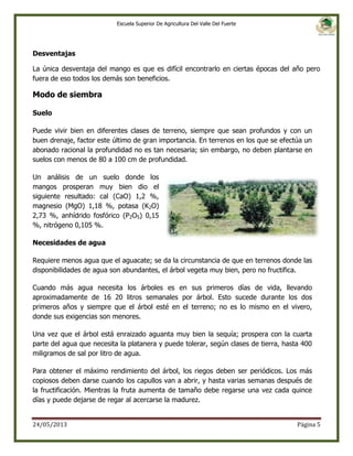 Escuela Superior De Agricultura Del Valle Del Fuerte

Desventajas
La única desventaja del mango es que es difícil encontrarlo en ciertas épocas del año pero
fuera de eso todos los demás son beneficios.

Modo de siembra
Suelo
Puede vivir bien en diferentes clases de terreno, siempre que sean profundos y con un
buen drenaje, factor este último de gran importancia. En terrenos en los que se efectúa un
abonado racional la profundidad no es tan necesaria; sin embargo, no deben plantarse en
suelos con menos de 80 a 100 cm de profundidad.
Un análisis de un suelo donde los
mangos prosperan muy bien dio el
siguiente resultado: cal (CaO) 1,2 %,
magnesio (MgO) 1,18 %, potasa (K2O)
2,73 %, anhídrido fosfórico (P2O5) 0,15
%, nitrógeno 0,105 %.
Necesidades de agua
Requiere menos agua que el aguacate; se da la circunstancia de que en terrenos donde las
disponibilidades de agua son abundantes, el árbol vegeta muy bien, pero no fructifica.
Cuando más agua necesita los árboles es en sus primeros días de vida, llevando
aproximadamente de 16 20 litros semanales por árbol. Esto sucede durante los dos
primeros años y siempre que el árbol esté en el terreno; no es lo mismo en el vivero,
donde sus exigencias son menores.
Una vez que el árbol está enraizado aguanta muy bien la sequía; prospera con la cuarta
parte del agua que necesita la platanera y puede tolerar, según clases de tierra, hasta 400
miligramos de sal por litro de agua.
Para obtener el máximo rendimiento del árbol, los riegos deben ser periódicos. Los más
copiosos deben darse cuando los capullos van a abrir, y hasta varias semanas después de
la fructificación. Mientras la fruta aumenta de tamaño debe regarse una vez cada quince
días y puede dejarse de regar al acercarse la madurez.
24/05/2013

Página 5

 