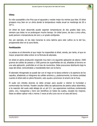 Escuela Superior De Agricultura Del Valle Del Fuerte

Clima
Es más susceptible a los fríos que el aguacate y resiste mejor los vientos que éste. El árbol
prospera muy bien en un clima donde la temperatura media anual se mantenga de 20 a
25º C.
Un árbol de buen desarrollo puede soportar temperaturas de dos grados bajo cero,
siempre que éstas no se prolonguen mucho tiempo. Un árbol joven, de dos a cinco años,
pude perecer a temperaturas de cero y un grado centígrado.
Así, por ejemplo, en las islas Canarias la zona óptima para este cultivo es la del Sur,
prosperando bien en la zona Norte.
Fertilización
La potasa es el elemento al que mejor ha respondido el árbol, siendo, por tanto, el que en
mayor proporción debe entrar en la fórmula de abonado.
Un árbol en plena producción responde muy bien a la siguiente aplicación de abono: 2500
gramos de sulfato de potasio y 1500 gramos de superfosfato de cal, añadidos al terreno en
una sola aplicación, preferible en el mes de noviembre. Debe procurarse distribuirlo bajo la
copa del árbol, removiéndolo y mezclándolo bien con la tierra.
El abonado nitrogenado se puede dar con el riego en la época anterior a la apertura de los
capullos, añadiendo un kilogramo de sulfato amónico y, posteriormente, la misma cantidad
cuando el árbol esté en plena floración, esto ayuda a promover el amarre de la fruta.
El suelo con árboles jóvenes se debe arropar para ayudar a retener la humedad y
contrarrestar las hierbas. Pueden resultar útiles las aplicaciones de piedra caliza dolomítica,
si la reacción del suelo está debajo de un pH 5.5. Las aspersiones nutritivas conteniendo
cobre, cinc, manganeso y boro son benéficos en todos los suelos, excepto los mejores.
Estas se deben aplicar más o menos 3 veces al año (una vez en el caso del boro)

24/05/2013

Página 6

 
