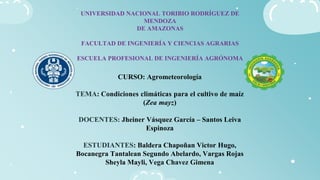 UNIVERSIDAD NACIONAL TORIBIO RODRÍGUEZ DE
MENDOZA
DE AMAZONAS
FACULTAD DE INGENIERÍA Y CIENCIAS AGRARIAS
ESCUELA PROFESIONAL DE INGENIERÍA AGRÓNOMA
CURSO: Agrometeorología
TEMA: Condiciones climáticas para el cultivo de maíz
(Zea mayz)
DOCENTES: Jheiner Vásquez García – Santos Leiva
Espinoza
ESTUDIANTES: Baldera Chapoñan Victor Hugo,
Bocanegra Tantalean Segundo Abelardo, Vargas Rojas
Sheyla Mayli, Vega Chavez Gimena
 