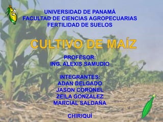 UNIVERSIDAD DE PANAMÁ
FACULTAD DE CIENCIAS AGROPECUARIAS
FERTILIDAD DE SUELOS
PROFESOR:
ING. ALEXIS SAMUDIO
INTEGRANTES:
ADAN DELGADO
JASON CORONEL
ZEILA GONZALEZ
MARCIAL SALDAÑA
CHIRIQUÍ
 