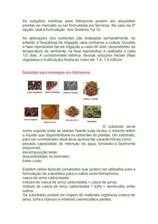 As soluções nutritivas para hidroponia podem ser adquiridas
prontas no mercado ou ser formuladas por técnicos. No caso da 2ª
opção, usar a formulação dos Quadros 1a/ 1b.
As aplicações dos nutrientes são realizadas semanalmente, no
entanto a freqüência de irrigação varia conforme a cultura. Durante
a fase reprodutiva faz-se irrigação a cada 04 dias; dependendo da
temperatura do ambiente, na fase reprodutiva, é realizada a cada
1/2 dias. A condutividade elétrica dessas soluções iniciais (fase
vegetativa e frutificação) ficaria ao redor de: 1,4, 1,5 mS/cm.
Substrato para morangos em hidroponia:
O substrato serve
como suporte onde as plantas fixarão suas raízes, o mesmo retém
o líquido que disponibilizará os nutrientes às plantas. Um substrato,
para ser considerado ideal deve apresentar características como:
elevada capacidade de retenção de água, tornando-a facilmente
disponível;
decomposição lenta;
disponibilidade no mercado;
baixo custo.
Existem vários tipos de compostos que podem ser utilizados para a
formulação de substratos para o cultivo semi-hidropônico:
casca de arroz carbonizada;
mistura de casca de arroz carbonizada + casca de pinus;
mistura de casca de arroz carbonizada + turfa + vermiculita, entre
outros.
Os substratos podem ter origem de materiais orgânicos (casca de
arroz, turfa e húmus) e minerais (vermiculita e perlita).
 