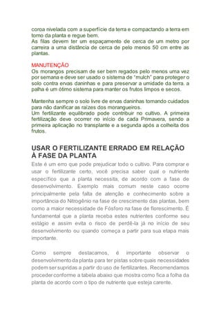 coroa nivelada com a superfície da terra e compactando a terra em
torno da planta e regue bem.
As filas devem ter um espaçamento de cerca de um metro por
carreira a uma distância de cerca de pelo menos 50 cm entre as
plantas.
MANUTENÇÃO
Os morangos precisam de ser bem regados pelo menos uma vez
por semana e deve ser usado o sistema de “mulch” para proteger o
solo contra ervas daninhas e para preservar a umidade da terra. a
palha é um ótimo sistema para manter os frutos limpos e secos.
Mantenha sempre o solo livre de ervas daninhas tomando cuidados
para não danificar as raízes dos morangueiros.
Um fertilizante equilibrado pode contribuir no cultivo. A primeira
fertilização deve ocorrer no início de cada Primavera, sendo a
primeira aplicação no transplante e a segunda após a colheita dos
frutos.
USAR O FERTILIZANTE ERRADO EM RELAÇÃO
À FASE DA PLANTA
Este é um erro que pode prejudicar todo o cultivo. Para comprar e
usar o fertilizante certo, você precisa saber qual o nutriente
específico que a planta necessita, de acordo com a fase de
desenvolvimento. Exemplo mais comum neste caso ocorre
principalmente pela falta de atenção e conhecimento sobre a
importância do Nitrogênio na fase de crescimento das plantas, bem
como a maior necessidade de Fósforo na fase de florescimento. É
fundamental que a planta receba estes nutrientes conforme seu
estágio e assim evita o risco de perdê-la já no início de seu
desenvolvimento ou quando começa a partir para sua etapa mais
importante.
Como sempre destacamos, é importante observar o
desenvolvimento da planta para ter pistas sobre quais necessidades
podem sersupridas a partir do uso de fertilizantes. Recomendamos
procederconforme a tabela abaixo que mostra como fica a folha da
planta de acordo com o tipo de nutriente que esteja carente.
 