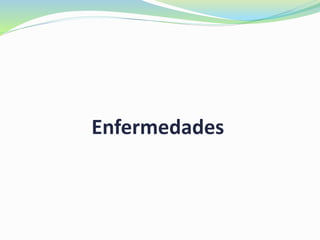 Enfermedades
 