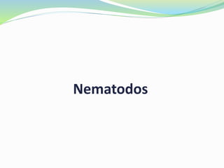 Nematodos
 