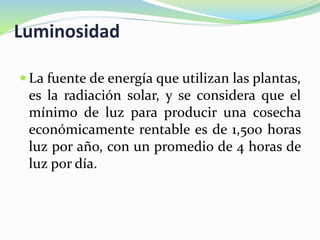Luminosidad
 La fuente de energía que utilizan las plantas,
es la radiación solar, y se considera que el
mínimo de luz para producir una cosecha
económicamente rentable es de 1,500 horas
luz por año, con un promedio de 4 horas de
luz por día.
 