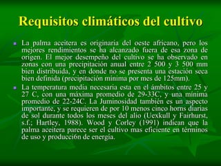 Requisitos climáticos del cultivo
   La palma aceitera es originaria del oeste africano, pero los
    mejores rendimientos se ha alcanzado fuera de esa zona de
    origen. El mejor desempeño del cultivo se ha observado en
    zonas con una precipitación anual entre 2 500 y 3 500 mm
    bien distribuida, y en donde no se presenta una estación seca
    bien definida (precipitación mínima por mes de 125mm).
   La temperatura media necesaria esta en el ámbitos entre 25 y
    27 C, con una máxima promedio de 29-33C, y una mínima
    promedio de 22-24C. La Juminosidad también es un aspecto
    importante, y se requieren de por 10 menos cinco horns diarias
    de sol durante todos los meses del alio (Uexkull y Fairhurst,
    s.f.; Hartley, 1988). Wood y Corley (1991) indican que la
    palma aceitera parece ser el cultivo mas eficiente en términos
    de uso y producci6n de energía.
 