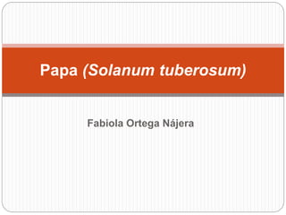 Fabiola Ortega Nájera
Papa (Solanum tuberosum)
 