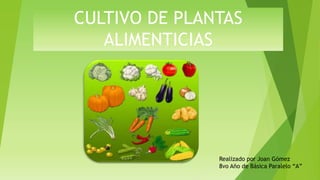 CULTIVO DE PLANTAS
ALIMENTICIAS
Realizado por Joan Gómez
8vo Año de Básica Paralelo “A”
 