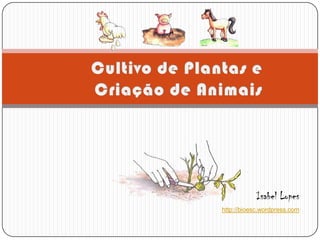 Cultivo de Plantas e Criação de Animais Isabel Lopes http://bioesc.wordpress.com 