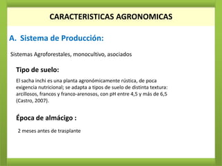 CARACTERISTICAS AGRONOMICAS
                 CARACTERISTICAS AGRONOMICAS

A. Sistema de Producción:
Sistemas Agroforestales, monocultivo, asociados

  Tipo de suelo:
  El sacha inchi es una planta agronómicamente rústica, de poca
  exigencia nutricional; se adapta a tipos de suelo de distinta textura:
  arcillosos, francos y franco-arenosos, con pH entre 4,5 y más de 6,5
  (Castro, 2007).


  Época de almácigo :
  2 meses antes de trasplante
 