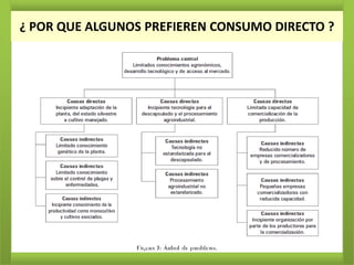 ¿ POR QUE ALGUNOS PREFIEREN CONSUMO DIRECTO ?
 