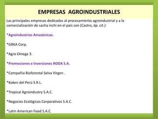 EMPRESAS AGROINDUSTRIALES
Las principales empresas dedicadas al procesamiento agroindustrial y a la
comercialización de sacha inchi en el país son (Castro, óp. cit.):

*Agroindustrias Amazónicas.

*GRKA Corp.

*Agro Omega 3.

*Promociones e Inversiones RODA S.A.

*Compañía Bioforestal Selva Virgen .

*Koken del Perú S.R.L.

*Tropical Agroindustry S.A.C.

*Negocios Ecológicos Corporativos S.A.C.

*Latin American Food S.A.C.
 