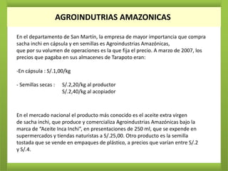AGROINDUTRIAS AMAZONICAS

En el departamento de San Martín, la empresa de mayor importancia que compra
sacha inchi en cápsula y en semillas es Agroindustrias Amazónicas,
que por su volumen de operaciones es la que fija el precio. A marzo de 2007, los
precios que pagaba en sus almacenes de Tarapoto eran:

-En cápsula : S/.1,00/kg

- Semillas secas :    S/.2,20/kg al productor
                      S/.2,40/kg al acopiador



En el mercado nacional el producto más conocido es el aceite extra virgen
de sacha inchi, que produce y comercializa Agroindustrias Amazónicas bajo la
marca de “Aceite Inca Inchi”, en presentaciones de 250 ml, que se expende en
supermercados y tiendas naturistas a S/.25,00. Otro producto es la semilla
tostada que se vende en empaques de plástico, a precios que varían entre S/.2
y S/.4.
 