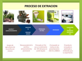 PROCESO DE EXTRACION




                         SELECCIÓ                                                   ALMACENA
   ACOPIO Y                 N                PRENSADO                                   M.
                                                                 ENVASADO
ALMACENAMIENTO                                EN FRIO                               DESPACHO
                         DESCASC                                                    DISTRIBUCI
                          ARADO                                                         ON




   Acopio de      Descascarado de la    Prensado en frío     El envasado se      El producto
agricultores de        semilla y       con un rendimiento     realiza en dos    envasado es
 la semilla con    almacenamiento      de 35% del peso en    presentaciones:     paletizado y
     cáscara          provisional         aceite líquido    250 ml y 1000ml.   embalado para
                                                                               su exportación.
 