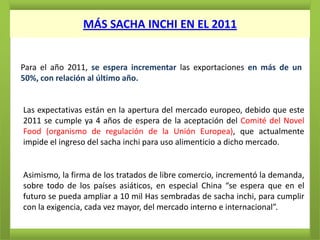 MÁS SACHA INCHI EN EL 2011


Para el año 2011, se espera incrementar las exportaciones en más de un
50%, con relación al último año.


Las expectativas están en la apertura del mercado europeo, debido que este
2011 se cumple ya 4 años de espera de la aceptación del Comité del Novel
Food (organismo de regulación de la Unión Europea), que actualmente
impide el ingreso del sacha inchi para uso alimenticio a dicho mercado.


Asimismo, la firma de los tratados de libre comercio, incrementó la demanda,
sobre todo de los países asiáticos, en especial China “se espera que en el
futuro se pueda ampliar a 10 mil Has sembradas de sacha inchi, para cumplir
con la exigencia, cada vez mayor, del mercado interno e internacional”.
 