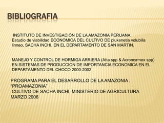 BIBLIOGRAFIA

  INSTITUTO DE INVESTIGACIÓN DE LA AMAZONIA PERUANA
 Estudio de viabilidad ECONOMICA DEL CULTIVO DE plukenetia volubilis
 linneo, SACHA INCHI, EN EL DEPARTAMENTO DE SAN MARTIN.


 MANEJO Y CONTROL DE HORMIGA ARRIERA (Atta spp & Acromyrmex spp)
 EN SISTEMAS DE PRODUCCION DE IMPORTANCIA ECONOMICA EN EL
 DEPARTAMENTO DEL CHOCO 2000-2002

PROGRAMA PARA EL DESARROLLO DE LA AMAZONIA .
“PROAMAZONIA”
 CULTIVO DE SACHA INCHI, MINISTERIO DE AGRICULTURA
MARZO 2006
 