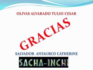 Cultivo de sacha inchi