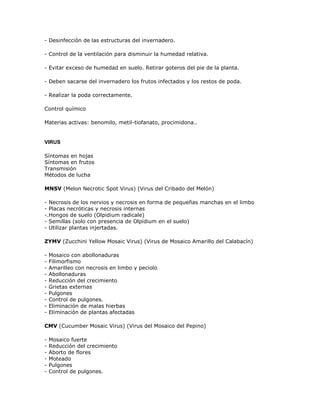 - Desinfección de las estructuras del invernadero.

- Control de la ventilación para disminuir la humedad relativa.

- Evitar exceso de humedad en suelo. Retirar goteros del pie de la planta.

- Deben sacarse del invernadero los frutos infectados y los restos de poda.

- Realizar la poda correctamente.

Control químico

Materias activas: benomilo, metil-tiofanato, procimidona..


VIRUS

Síntomas en hojas
Síntomas en frutos
Transmisión
Métodos de lucha

MNSV (Melon Necrotic Spot Virus) (Virus del Cribado del Melón)

- Necrosis de los nervios y necrosis en forma de pequeñas manchas en el limbo
- Placas necróticas y necrosis internas
-.Hongos de suelo (Olpidium radicale)
- Semillas (solo con presencia de Olpidium en el suelo)
- Utilizar plantas injertadas.

ZYMV (Zucchini Yellow Mosaic Virus) (Virus de Mosaico Amarillo del Calabacín)

-   Mosaico con abollonaduras
-   Filimorfismo
-   Amarilleo con necrosis en limbo y peciolo
-   Abollonaduras
-   Reducción del crecimiento
-   Grietas externas
-   Pulgones
-   Control de pulgones.
-   Eliminación de malas hierbas
-   Eliminación de plantas afectadas

CMV (Cucumber Mosaic Virus) (Virus del Mosaico del Pepino)

-   Mosaico fuerte
-   Reducción del crecimiento
-   Aborto de flores
-   Moteado
-   Pulgones
-   Control de pulgones.
 