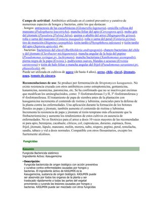 Campo de actividad: Antibiótico utilizado en el control preventivo y curativo de
numerosas especies de hongos y bacterias, entre los que destacan:
. hongos: antracnosis de las cucurbitáceas (Glomerella lagenaria), cenicilla vellosa del
manzano (Podosphaera leucotricha), mancha foliar del apio (Cercospora apii), moho gris
del jitomate (Passalora [Fulvia] fulva), quema o añublo del arroz (Magnaporthe grisea),
roña o sarna del manzano (Venturia inaequalis), roña o sarna del peral (Venturia pyrina),
tiro de munición (Stigmina carpophila), tizón tardío (Phytophthora infestans) y tizón tardío
del apio (Septoria apiicola), etc.
. bacterias: bacteriosis del clavel (Burkholderia andropogonis), chancro bacteriano del chile
y del jitomate (Clavibacter michiganensis), mancha angular de la hoja del pepino
(Pseudomonas syringae pv. lachrymans), mancha bacteriana (Xanthomonas axonopodis),
pierna negra de la papa (Erwinia ), pudriciones suaves, blandas o acuosas (Erwinia
carotovora) y tizón de halo foliar o mancha angular del frijol (Pseudomonas savastanoi pv.
phaseolicola), etc.
Puede ser utilizada en cultivos de agave (de hasta 4 años), arroz, chile, clavel, jitomate,
papa, tomate de cáscara.

Recomendaciones de uso: Se produce por fermentación de Streptomyces kasugaensis. No
existe resistencia cruzada con otros antibióticos como estreptomicina, gentamicina,
kanamicina, neomicina, paromicina, etc. Se ha confirmado que no se inactiva por enzimas
que modifican los aminoglucósidos, como: 3'-fosfotransferasas I y II, 3''-fosfotransferasa y
6'-fosfotransferasa. El tratamiento de papa de siembra antes de la plantación con
kasugamicina incrementa el contenido de risitina y lubimina, esenciales para la defensa de
la planta contra las enfermedades. Una aplicación durante la formación de los botones
florales en papa y jitomate, también aumenta el contenido de risitina y lubimina.
Incrementa la resistencia de papa y jitomate al tizón temprano más eficazmente que la
fitobacteriomicina y aumenta los rendimientos de estos cultivos en ausencia de
enfermedades. No es fitotóxico para el arroz a dosis 10 veces mayores de las recomendadas
ni para apio, berenjena, cacahuete, cítricos, col, cupresáceas, durazno, espinaca, fresa,
frijol, jitomate, lúpulo, manzano, melón, morera, nabo, níspero, pepino, peral, remolacha,
sandía, tabaco y vid a dosis normales. Compatible con otros fitosanitarios, excepto los
fuertemente alcalinos.

Fungicidas

Kasumin
Fungicida Bactericida sistémico
Ingrediente Activo: Kasugamicina
• Descripción:
  Fungicida bactericida de origen biológico con acción preventiva
  y curativa contra enfermedades causadas por hongos y
  bacterias. El ingrediente áctivo de KASUMIN es la
  Kasugamicina, sustancia de origen biológico. KASUMIN puede
  ser absorvido por todos los organos de la planta y ser
  traslocado rápidamente a todas las partes del vegetal
  previniendo y curando las lesiones causadas por hongos y
  bacterias. KASUMIN puede ser mezclado con otros fungicidas
 