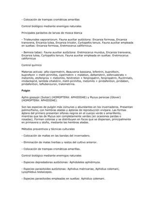 - Colocación de trampas cromáticas amarillas

Control biológico mediante enemigos naturales

Principales parásitos de larvas de mosca blanca

- Trialeurodes vaporariorum. Fauna auxiliar autóctona: Encarsia formosa, Encarsia
transvena, Encarsia lutea, Encarsia tricolor, Cyrtopeltis tenuis. Fauna auxiliar empleada
en sueltas: Encarsia formosa, Eretmocerus californicus.

- Bemisia tabaci. Fauna auxiliar autóctona: Eretmocerus mundus, Encarsia transvena,
Encarsia lutea, Cyrtopeltis tenuis. Fauna auxiliar empleada en sueltas: Eretmocerus
californicus

Control químico

Materias activas: alfa-cipermetrin, Beauveria bassiana, bifentrin, buprofezin,
buprofezin + metil-pirimifos, cipermetrin + malation, deltametrin, esfenvalerato +
metomilo, etofenprox + metomilo, fenitrotion + fenpropatrin, fenpropatrin, flucitrinato,
imidacloprid, lambda cihalotrin, metil-pirimifos, metomilo + piridafention, piridaben,
piridafention, teflubenzuron, tralometrina.

Pulgón

Aphis gossypii (Sulzer) (HOMOPTERA: APHIDIDAE) y Myzus persicae (Glover)
(HOMOPTERA: APHIDIDAE).

Son las especies de pulgón más comunes y abundantes en los invernaderos. Presentan
polimorfismo, con hembras aladas y ápteras de reproducción vivípara. Las formas
áptera del primero presentan sifones negros en el cuerpo verde o amarillento,
mientras que las de Myzus son completamente verdes (en ocasiones pardas o
rosadas). Forman colonias y se distribuyen en focos que se dispersan, principalmente
en primavera y otoño, mediante las hembras aladas.

Métodos preventivos y técnicas culturales

- Colocación de mallas en las bandas del invernadero.

- Eliminación de malas hierbas y restos del cultivo anterior.

- Colocación de trampas cromáticas amarillas.

Control biológico mediante enemigos naturales

- Especies depredadoras autóctonas: Aphidoletes aphidimyza.

- Especies parasitoides autóctonas: Aphidius matricariae, Aphidius colemani,
Lysiphlebus testaicepes.

- Especies parasitoides empleadas en sueltas: Aphidius colemani.
 