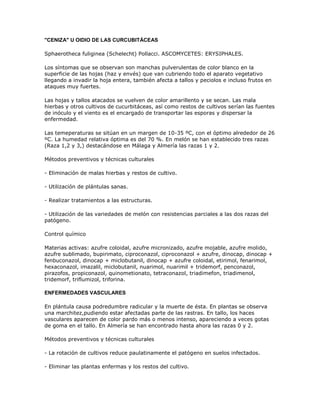 "CENIZA" U OIDIO DE LAS CURCUBITÁCEAS

Sphaerotheca fuliginea (Schelecht) Pollacci. ASCOMYCETES: ERYSIPHALES.

Los síntomas que se observan son manchas pulverulentas de color blanco en la
superficie de las hojas (haz y envés) que van cubriendo todo el aparato vegetativo
llegando a invadir la hoja entera, también afecta a tallos y peciolos e incluso frutos en
ataques muy fuertes.

Las hojas y tallos atacados se vuelven de color amarillento y se secan. Las mala
hierbas y otros cultivos de cucurbitáceas, así como restos de cultivos serían las fuentes
de inóculo y el viento es el encargado de transportar las esporas y dispersar la
enfermedad.

Las temeperaturas se sitúan en un margen de 10-35 ºC, con el óptimo alrededor de 26
ºC. La humedad relativa óptima es del 70 %. En melón se han establecido tres razas
(Raza 1,2 y 3,) destacándose en Málaga y Almería las razas 1 y 2.

Métodos preventivos y técnicas culturales

- Eliminación de malas hierbas y restos de cultivo.

- Utilización de plántulas sanas.

- Realizar tratamientos a las estructuras.

- Utilización de las variedades de melón con resistencias parciales a las dos razas del
patógeno.

Control químico

Materias activas: azufre coloidal, azufre micronizado, azufre mojable, azufre molido,
azufre sublimado, bupirimato, ciproconazol, ciproconazol + azufre, dinocap, dinocap +
fenbuconazol, dinocap + miclobutanil, dinocap + azufre coloidal, etirimol, fenarimol,
hexaconazol, imazalil, miclobutanil, nuarimol, nuarimil + tridemorf, penconazol,
pirazofos, propiconazol, quinometionato, tetraconazol, triadimefon, triadimenol,
tridemorf, triflumizol, triforina.

ENFERMEDADES VASCULARES

En plántula causa podredumbre radicular y la muerte de ésta. En plantas se observa
una marchitez,pudiendo estar afectadas parte de las rastras. En tallo, los haces
vasculares aparecen de color pardo más o menos intenso, apareciendo a veces gotas
de goma en el tallo. En Almería se han encontrado hasta ahora las razas 0 y 2.

Métodos preventivos y técnicas culturales

- La rotación de cultivos reduce paulatinamente el patógeno en suelos infectados.

- Eliminar las plantas enfermas y los restos del cultivo.
 