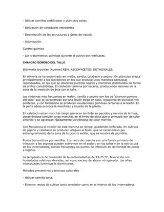 - Utilizar semillas certificadas y plántulas sanas.

- Utilización de variedades resistentes

- Desinfección de las estructuras y útiles de trabajo

- Solarización.

Control químico

- Los tratamientos químicos durante el cultivo son ineficaces.

CHANCRO GOMOSO DEL TALLO

Didymella bryoniae (Auersw) REM. ASCOMYCETES: DOTHIDEALES.

En Almería se ha encontrado en melón, sandía, calabacín y pepino. En plántulas afecta
principalmente a los cotiledones en los que produce unas manchas parduscas
redondeadas, en las que se observan puntitos negros y marrones distribuidos en forma
de anillos concéntricos. El cotiledón termina por secarse, produciendo lesiones en la
zona de la inserción de éste con el tallo.

Los síntomas más frecuentes en melón, sandía y pepino son los de "chancro gomoso
del tallo" que se caracterizan por una lesión beige en tallo, recubierta de picnidios y/o
peritecas, y con frecuencia se producen exudaciones gomosas cercanas a la lesión. En
la parte aérea provoca la marchitez y muerte de la planta.

En calabacín estas manchas beige aparecen también en peciolos y nervios de la hoja,
observándose también unas manchas en el limbo de aloja que al principio son de color
amarillo y se agrandan rápidamente volviéndose de color marrón.

Con frecuencia el interior de esta mancha se rompe, quedando perforada. En cultivos
de pepino y calabacín se producen ataques al fruto, que se caracterizan por
estrangulamiento de la zona de la cicatriz estilar, que se recubre de picnidios.

Puede transmitirse por semillas. Los resto de cosecha son una fuente primaria de
infección y las esporas pueden sobrevivir en el suelo o en los tallos y en la estructura
de los invernaderos, siendo frecuentes los puntos de infección en las heridas de podas
e injertos.

La temperatura de desarrollo de la enfermedad es de 23-25 ºC, favorecido con
humedades relativas elevadas, así como exceso de abono nitrogenado. Las altas
intensidades lumínicas la disminuyen.

Métodos preventivos y técnicas culturales

- Utilizar semilla sana.

- Eliminar restos de cultivo tanto alrededor como en el interior de los invernaderos.
 