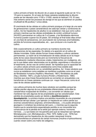 cultivo primario el factor de dilución de un pase al siguiente suele ser de 1/2 a 
1/5 pero no superior. En el caso de líneas celulares establecidas la dilución 
puede ser tan elevada como 1/100 o 1/1000, siendo la habitual 1/10. El caso 
más extremo serían los procesos de clonaje en los que se siembran en pocillos 
(multiwell de 96 pocillos) 1 única célula. 
El crecimiento de las células en cultivo primario prosigue a lo largo de una serie 
de generaciones o pases característicos de cada tipo celular y condiciones de 
cultivo. Así los hepatocitos de adultos no se establecen más que como cultivo 
primario mientras que las células endoteliales de cordón umbilical humano 
(HUVEC) permanecen en cultivo de 3 a 9 pases, y los fibroblastos dérmicos 
humanos pueden superar los 20 pases. Sin embargo al final todas ellas entran 
en una fase de senescencia, con acumulación de numerosas anormalidades, 
perdida de funciones especializadas, etc... que conducen a la muerte del 
cultivo. 
Sólo ocasionalmente un cultivo primario se mantiene durante más 
generaciones de las esperadas. Es debido a la aparición en el cultivo de 
células inmortales. Estas células forman líneas estables o cultivos celulares 
permanentes. La razón de la inmortalización de estas células es en la mayor 
parte de los casos desconocida pero se incrementa la frecuencia de 
inmortalización mediante infecciones virales, tratamientos con mutágenos, etc... 
por lo que deben estar relacionadas con la pérdida, espontánea o inducida por 
el tratamiento, de las vias de control celular. Se hipotetiza que la capacidad de 
un cultivo celular primario para establecerse como línea estable está 
relacionado directamente con su variabilidad genética. Así líneas celulares que 
nunca se establecen como estables se mantienen euploides como es el caso 
de fibroblastos humanos (Hayflick y Moorhead, 1961), fibroblastos de pollo 
(Hay y Strehler, 1967), y la glia humana (Pontén y Westermarck, 1980) 
mientras que otras líneas frecuentemente se convierten en aneuploides y se 
transforman en líneas celulares continuas con mayor frecuencia, como es el 
caso de las células epidérmicas . 
Los cultivos primarios de muchos tipos celulares son posibles porque las 
células pierden algunas de sus propiedades diferenciadas, entre ellas la 
característica incapacidad de dividirse, y se convierten en células que 
mantienen tan solo algunas de las propiedades que las caracterizaban. Esta 
pérdida de propiedades puede ser debida a desdiferenciación o 
desadaptación. La primera implica una pérdida irreversible de una propiedad 
diferencial del tipo celular ( por ejemplo un hepatocito en cultivo pierde sus 
enzimas característicos (arginasa, aminotransferasas,...) no puede almacenar 
glucógeno ni sintetizar las proteínas del suero...), mientras que la segunda 
implica que la característica especializada perdida no es irreversible sino 
consecuencia de la pérdida de la señal (por ejemplo externa, hormonal, 
nerviosa, ...) y que basta con recuperarla para que se reexprese (por ejemplo 
Michalopoulos y col. (Michalopoulos y Pitot, 1975; Sattler y col., 1978) han 
demostrado que los hepatocitos de rata pueden reexpresar tirosina 
aminotransferasa en presencia de ciertas hormonas (insulina e hydrocortisona) 
cuando crecen sobre una matriz de colágeno). 
