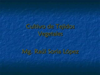 Cultivo de TejidosCultivo de Tejidos
VegetalesVegetales
Mg. Raúl Soria LópezMg. Raúl Soria López
 