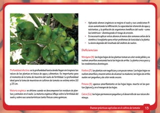•	 Aplicando abonos orgánicos se mejora el suelo y sus condiciones fí-
                                                                                        sicas aumentando la infiltración, la capacidad de retención de agua y
                                                                                        nutrientes, y la población de organismos benéficos del suelo –como
                                                                                        las lombrices– disminuyendo el riesgo de erosión.
                                                                                     •	 Es necesario aplicar estos abonos al menos dos semanas antes de la
                                                                                        siembra o trasplante para evitar problemas de toxicidad a la planta.
                                                                                     •	 La dosis depende del resultado del análisis de suelos.

                                                                                  Deficiencias

                                                                                  Nitrógeno (N): las hojas bajas de las plantas toman un color verde pálido y se
                                                                                  vuelven amarillas avanzando hacia las hojas de arriba. La planta crece poco y
                                                                                  los rendimientos disminuyen.

Profundidad efectiva: es la profundidad hasta donde llegan sin tropiezo las       Fósforo (P): las plantas son raquíticas y con pocas ramas. Las hojas bajas se
raíces de las plantas en busca de agua y alimentos. Es importante para            vuelven amarillas y mueren antes de alcanzar su madurez; las hojas de arriba
el momento de la toma de muestra del suelo de fertilidad. La profundidad          suelen ser pequeñas y de color verde oscuro.
ideal para la toma de muestras en cultivos de tomate se estima entre 20
y 25 cm.                                                                          Potasio (K): aparece amarillamiento en las hojas bajas, muerte en las pun-
                                                                                  tas (ápices) y en el margen de las hojas.
Materia orgánica: se obtiene cuando se descomponen los residuos de plan-
tas y animales en el suelo. La materia orgánica influye sobre la fertilidad del   Calcio (Ca): las hojas permanecen pequeñas y el desarrollo de sus raíces dis-
suelo y sobre sus características tanto físicas como químicas.                    minuye.


                                                                                           Buenas prácticas agrícolas en el cultivo de tomate             13
 