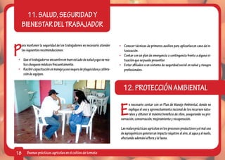 11. SALUD, SEGURIDAD Y
     BIENESTAR DEL TRABAJADOR


P
     ara mantener la seguridad de los trabajadores es necesario atender     •	 Conocer técnicas de primeros auxilios para aplicarlas en caso de in-
     las siguientes recomendaciones:                                           toxicación.
                                                                            •	 Contar con un plan de emergencia o contingencia frente a alguna si-
 •	 Que el trabajador se encuentre en buen estado de salud y que se rea-       tuación que se pueda presentar.
    lice chequeos médicos frecuentemente.                                   •	 Estar afiliados a un sistema de seguridad social en salud y riesgos
 •	 Recibir capacitación en manejo y uso seguro de plaguicidas y calibra-      profesionales.
    ción de equipos.


                                                                              12. PROTECCIÓN AMBIENTAL

                                                                            E
                                                                                  s necesario contar con un Plan de Manejo Ambiental, donde se
                                                                                  explique el uso y aprovechamiento racional de los recursos natu-
                                                                                  rales y obtener el máximo beneficio de ellos, asegurando su pre-
                                                                             servación, conservación, mejoramiento y recuperación.

                                                                             Las malas prácticas agrícolas en los procesos productivos y el mal uso
                                                                             de agroquímicos generan un impacto negativo al aire, al agua y al suelo,
                                                                             afectando además la flora y la fauna.


18       Buenas prácticas agrícolas en el cultivo de tomate
 