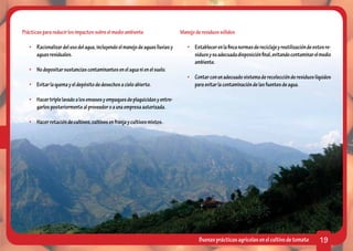 Prácticas para reducir los impactos sobre el medio ambiente                    Manejo de residuos sólidos

   •	 Racionalizar del uso del agua, incluyendo el manejo de aguas lluvias y      •	 Establecer en la finca normas de reciclaje y reutilización de estos re-
      aguas residuales.                                                              siduos y su adecuada disposición final, evitando contaminar el medio
                                                                                     ambiente.
   •	 No depositar sustancias contaminantes en el agua ni en el suelo.
                                                                                  •	 Contar con un adecuado sistema de recolección de residuos líquidos
   •	 Evitar la quema y el depósito de desechos a cielo abierto.                     para evitar la contaminación de las fuentes de agua.

   •	 Hacer triple lavado a los envases y empaques de plaguicidas y entre-
      garlos posteriormente al proveedor o a una empresa autorizada.

   •	 Hacer rotación de cultivos, cultivos en franja y cultivos mixtos.




                                                                                       Buenas prácticas agrícolas en el cultivo de tomate             19
 