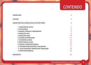 CONTENIDO
INTRODUCCIÓN	                                                              4

GLOSARIO	                                                                  5

BUENAS PRÁCTICAS AGRÍCOLAS EN EL CULTIVO DE TOMATE                         6
				
	      1. PLANEACIÓN DEL CULTIVO			                 			                    7
	2. INSTALACIONES								                                                  8
	      3. EQUIPOS, UTENSILIOS Y HERRAMIENTAS				                           9
	4. MANEJO DEL AGUA								                                                9
	5. MANEJO DEL SUELO								                                              10
	6. MATERIAL DE PROPAGACIÓN						                                         11
	7. NUTRICIÓN DE PLANTAS						                                            12
	      8. PROTECCIÓN DEL CULTIVO 			                                      14
	      9. COSECHA Y MANEJO POS COSECHA					                               15
	      10. DOCUMENTACIÓN, REGISTROS Y TRAZABILIDAD			                     17
	      11. SALUD, SEGURIDAD Y BIENESTAR DEL TRABAJADOR 		                 18
	      12. PROTECCIÓN AMBIENTAL	      					                               18

BIBLIOGRAFÍA                                                              20



                                         Buenas prácticas agrícolas en el cultivo de tomate   3
 